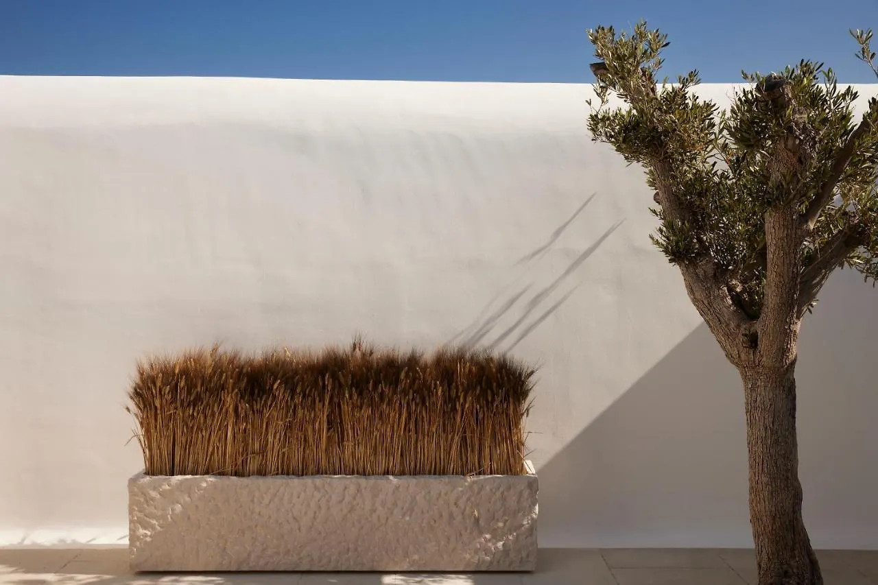 Kalesma Mykonos Hotel Ornos   Ornos (Mykonos)
